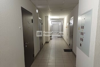 Студия 20 м² 16/16 этаж