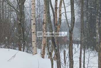 Земельный участок 12 сот. в тер Поляна снт ул Весенняя