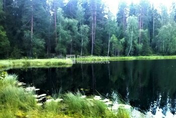 Земельный участок 381 сот. в деревня Жог