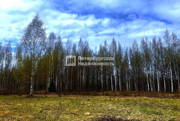 Земельный участок 10 сот. в деревня Васкелово