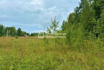 Земельный участок 8.49 сот. в деревня Муя ул Центральная