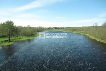 Земельный участок 129 сот. в деревня Гусли