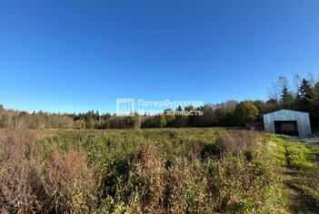 Земельный участок 192 сот. в деревня Красные Горы ул Красногорская