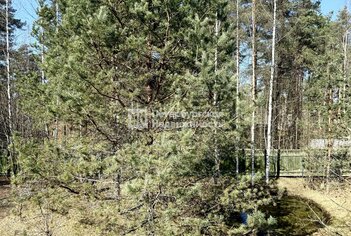 Дача 168 м² в гп Вырица ул Баркановская, д63а