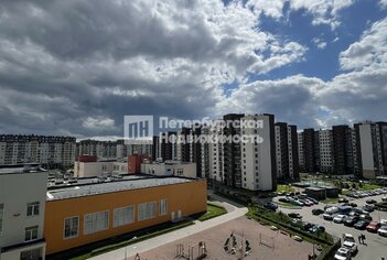 Студия 24.6 м² 7/12 этаж