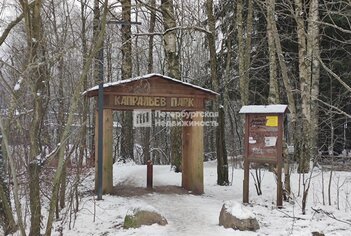  Студия 24.9 кв.м.