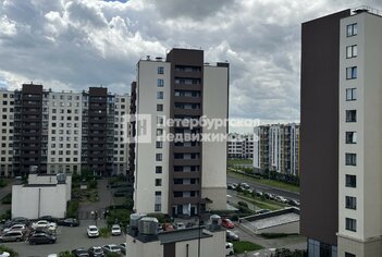 Студия 24.6 м² 7/12 этаж