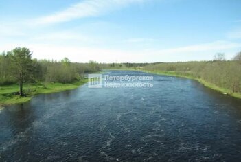 Земельный участок 381 сот. в деревня Гусли