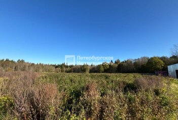 Земельный участок 15 сот. в деревня Красные Горы