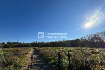 Земельный участок 192 сот. в деревня Красные Горы ул Красногорская