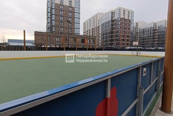  Студия 24.5 кв.м.