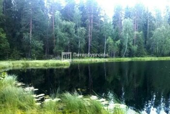 Земельный участок 169 сот. в деревня Жог