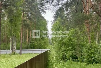 Земельный участок 10.5 сот. в гп имени Морозова Сосновый пер