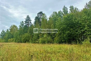 Земельный участок 8.49 сот. в деревня Муя ул Центральная