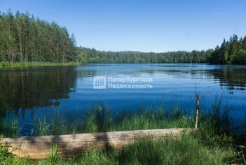 Земельный участок 381 сот. в деревня Жог