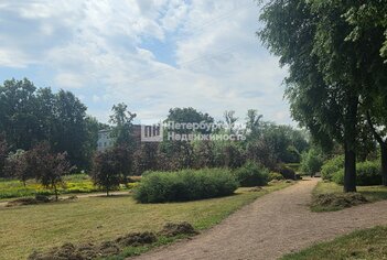 Комната 19.1 м² в 3-комн. кв. 1/5 этаж