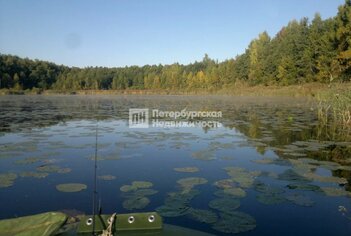 Земельный участок 479 сот. в деревня Рель