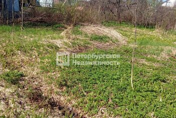 Земельный участок 45 м² в тер. СНТ Щеглово-2 (поселок Щеглово) ул 8-я линия, д255уч