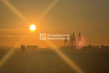 Студия 23.5 м² 6/17 этаж