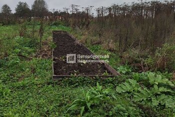 Земельный участок 50 сот. в деревня Большая Вруда ул Тенистая