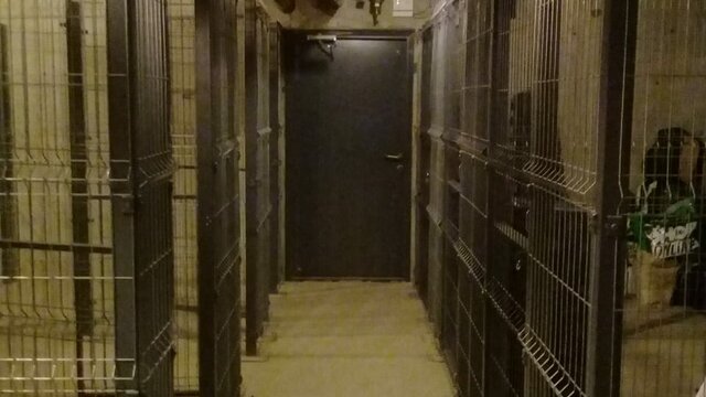 ЖК «Новоорловский»