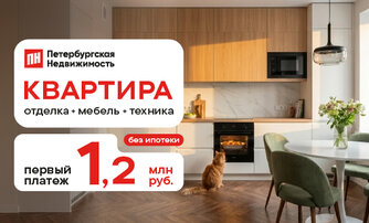 Первый платеж 1,2 млн рублей. Без ипотеки