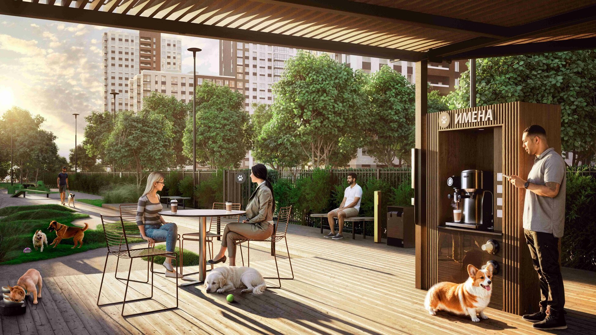 Собачья площадка1 .jpg