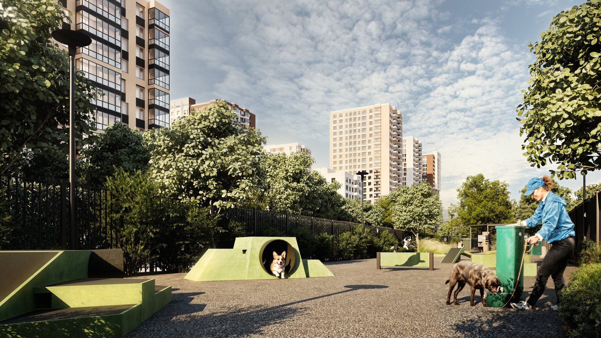 Собачья площадка2.jpeg